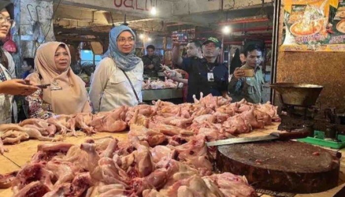 Harga Ayam Potong Meroket Jelang Akhir Tahun, Pedagang dan Pembeli Sama-Sama Tertekan