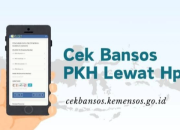 Cek Bansos 2025 Kini Bisa Lewat HP, Begini Cara Lengkapnya
