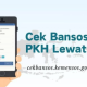 Cek Bansos 2025 Kini Bisa Lewat HP, Begini Cara Lengkapnya