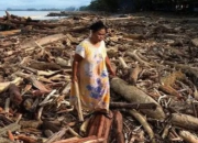 Pemerintah Izinkan Pemanfaatan Kayu Gelondongan Pascabanjir