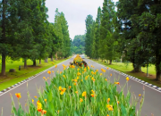 Wisata dan Bisnis Dorong Lonjakan WNA ke Bogor, Layanan Imigrasi Cetak Rekor