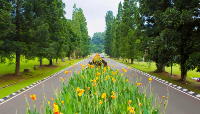 Wisata dan Bisnis Dorong Lonjakan WNA ke Bogor, Layanan Imigrasi Cetak Rekor