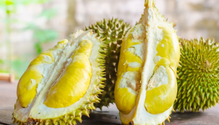 Durian, Buah Tropis Kaya Nutrisi yang Digemari Masyarakat Asia Tenggara