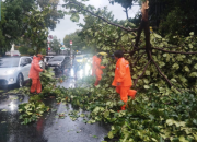 PPSU Evakuasi Pohon Tumbang di Jalan Pakubuwono VI