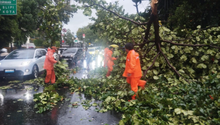 PPSU Evakuasi Pohon Tumbang di Jalan Pakubuwono VI