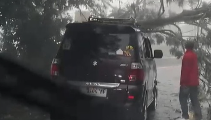 Cuaca Ekstrem, Jalan Raya Puncak Bogor Sempat Terhambat Akibat Pohon Tumbang