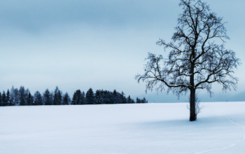 Liburan Salju Tanpa Visa, Ini 5 Destinasi Winter Holiday Favorit Pemegang Paspor Indonesia