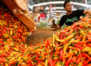 Harga Cabai Naik Jelang Ramadan 2026, Deflasi Awal Tahun Tak Banyak Terasa