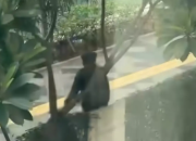 Polisi Selidiki Dugaan Pencopetan terhadap WNA di Kawasan HR Rasuna Said Jakarta Selatan