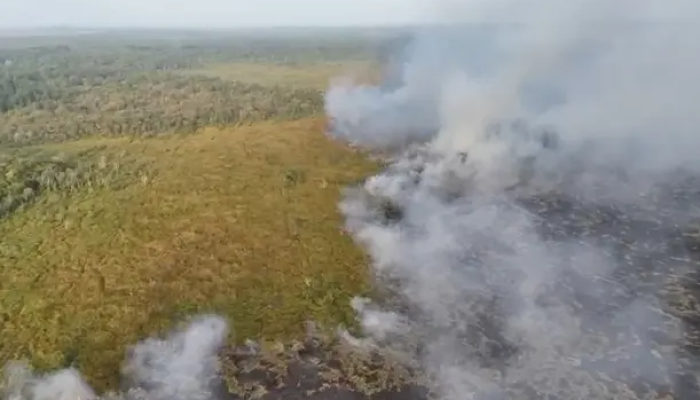 Karhutla TN Way Kambas Masih Berlangsung, Dua Helikopter Dikirim untuk Pemadaman