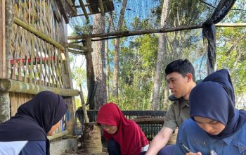 Budidaya Maggot Ubah Sampah Organik Jadi Sumber Pendapatan Warga Gunungkidul
