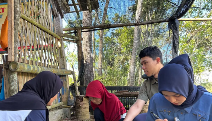 Budidaya Maggot Ubah Sampah Organik Jadi Sumber Pendapatan Warga Gunungkidul