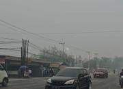Kabut Asap di Palangka Raya Mulai Menipis Usai Hujan, Petugas Tetap Basahi Lahan Gambut